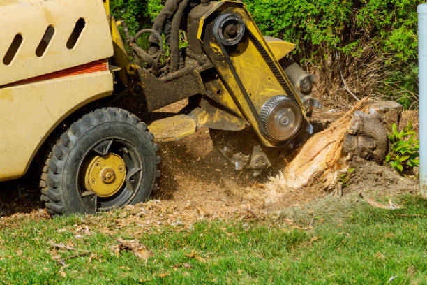 Best Lawn Pest Prevention  in New Burlington, OH